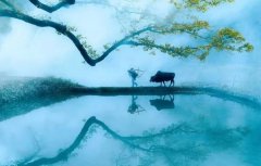 回歸鄉村，方知幸福 【輕鋼別墅】