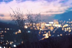 輕鋼別墅: 遠離城市喧囂，獨享一方寧靜